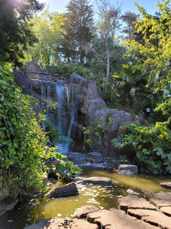 Golden Gate Park Suite 샌프란시스코 외부 사진